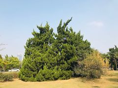 -安徽大学(龙河校区)