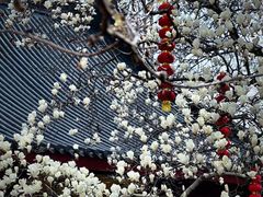 -杭州上天竺法喜讲寺