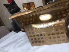 -京馔手工吐司(万达广场济南高新店)