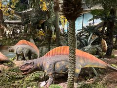 -湖南省地质博物馆