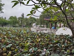 -惠州西湖风景名胜区-丰渚园