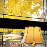 静坐一隅 慢品时光