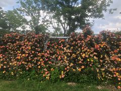 -名花谷生态庄园