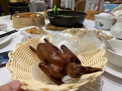 红烧BB乳鸽-稻香酒家·33年老字号·港式粤菜(富邦中心店)