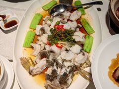 -侨美·唐荔园·40年地道粤菜