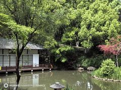 -新洲生态园