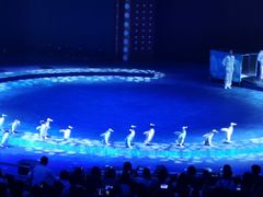 -珠海横琴长隆《卡卡虎奇遇记》