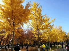 -东北大学(南湖校区)