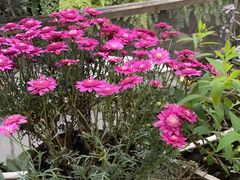 -凤来栖·净庭院·火锅(欧尚店)