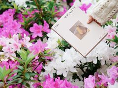 -龙湖重庆时代天街