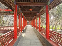 -南汇桃花村