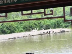 -上海野生动物园