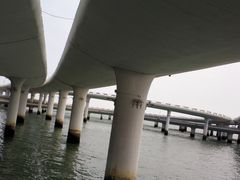 -演武大桥观景平台