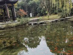 -武汉园博园(武汉自然博物馆)