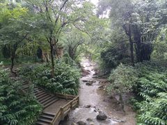 -峨眉山报国寺