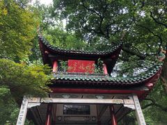 -黑色经典臭豆腐·湖南特产(潇湘文化店)