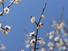 -嘉北郊野公园