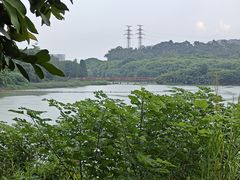 -广东花都湖国家湿地公园