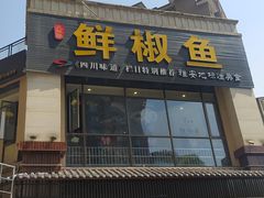 -鲜椒鱼·雅安地标性美食