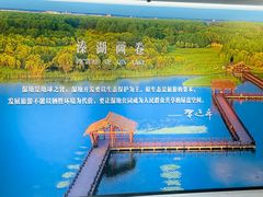 -溱湖国家湿地公园