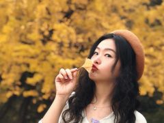 -千年银杏谷文化旅游区