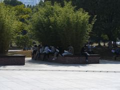 -南京医科大学(江宁校区)