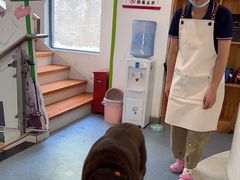 -奈斯宠物医院·核磁CT·异宠专科·内镜(中南店)
