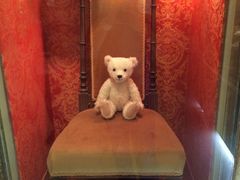 iphone_upload_pic-济州岛泰迪熊博物馆