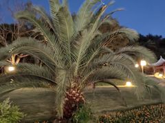 -东钱湖旅游度假区