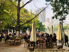 -成都市活水公园