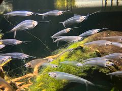 -太平洋海底世界