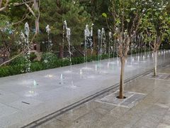 -南宫五洲植物乐园