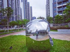 -宝安西湾红树林湿地公园