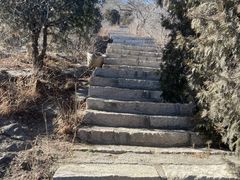 -北京西山国家森林公园