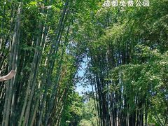 -望江楼公园