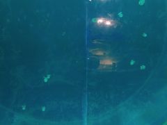 -临沂极地海洋王国