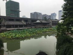 -龙潭水乡