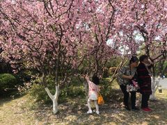 -大宁灵石公园西门票处