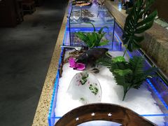 -和谐号(全运路万达店)