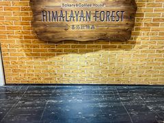 -喜马拉雅森HIMALAYAN FOREST
