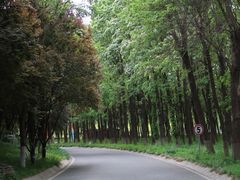 -石家庄市植物园