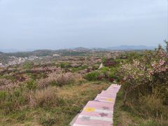 -四明山国家森林公园