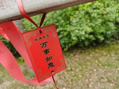 -江苏三台山国家森林公园