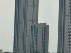 -海河外滩公园