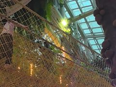 -正佳雨林生态植物园