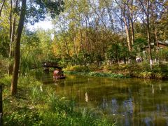 -合肥滨湖国家森林公园