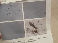 -天时宠物医院24小时疑难病例会诊中心(顾乡大街总院)