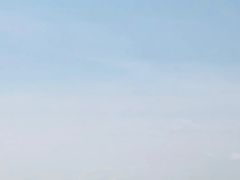 -枸杞岛