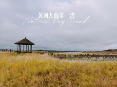 -黄河九曲第一湾