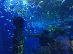 -波塞冬海底世界
